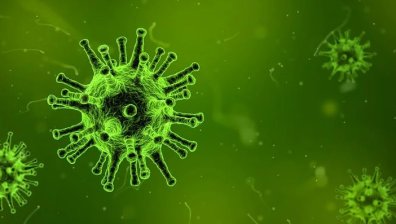 Телефонна линия ще дава информация за коронавируса