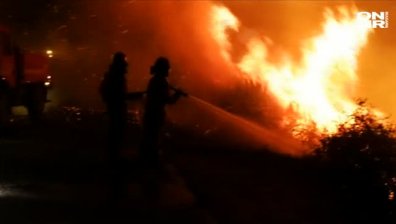 Пожарите погубиха 36 души в Португалия, загина и пеленаче