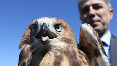 Пуснаха 5 керкенеза в небето над Кремиковския манастир