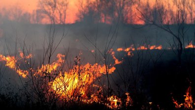  Огнен ад в Гърция: Бушуват над 50 горски пожара (обновена)