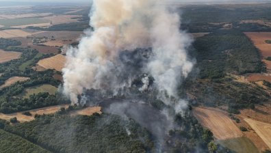 Голям горски пожар бушува в Тополовградско, огънят погълна къща