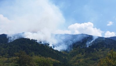 Гърци твърдят, че пожарът в планината Славянка е оставен на произвола на съдбата