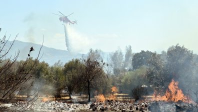 Редица пожари в Албания и Гърция, температурите надвишават 40°C