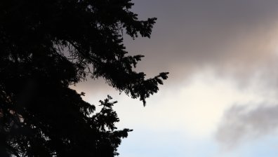 Бурен вятър в цялата страна: В Северозападна България ще достигне до 100 км/ч.