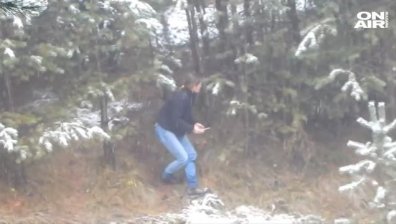 Природозащитници сигнализират: Отровен вълк в Рила?! Институциите мълчат