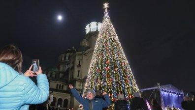 Запалиха светлините на голямата коледна елха в София (СНИМК)
