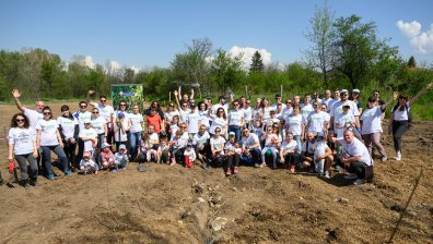 Доброволци от Пощенска банка се включиха в инициативата "Новата гора на София - 3", засаждайки над 700 нови дръвчета