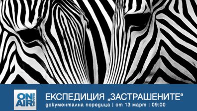Какво е да си пазител на дивата природа - в документалната поредица &bdquo;Експедиция &bdquo;Застрашените&ldquo; по Bulgaria ON AIR