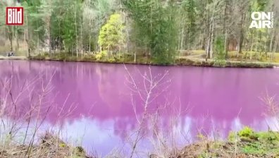 Лилаво езеро в Германия прикова погледите на света