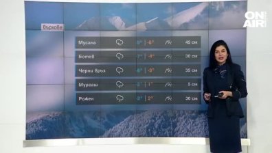 Централна прогноза