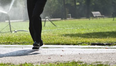 Умишлено ли? Системата за поливане се включва, когато има пешеходец с куче