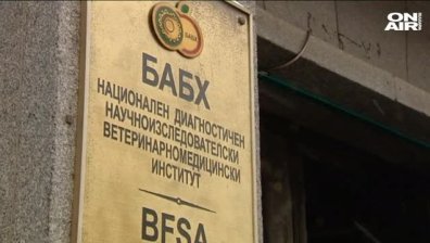 БАБХ стартира ваксинация срещу бяс при дивите хищници