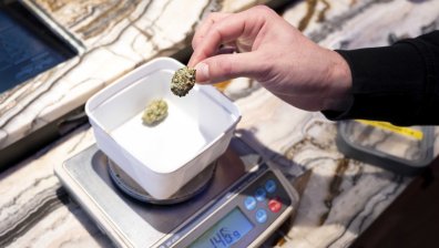 Почивка в Амстердам - без кафета за канабис? Бизнесът казва "Не"