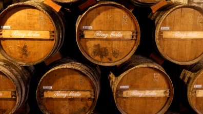 Извадиха 900 бутилки първокачествен коняк от Балтийско море