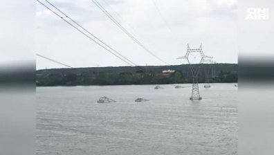 Силна буря прекъсна четири електропровода край Гълъбово