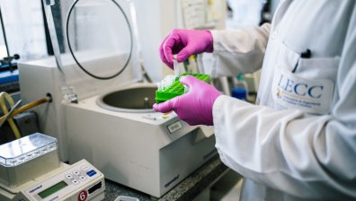 Антителата срещу Ковид-19 рязко спадат 2-3 месеца след инфекцията