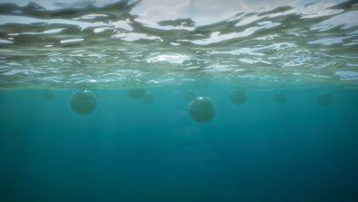 161 морски мини са обезвредени в Черно море от началото на войната в Украйна