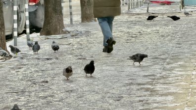 НИМХ обяви червен код за опасно време: Обилни валежи и поледици