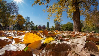Уикендът започва със слънце, максималните температури ще са до 34°
