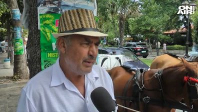Чужденци алармират за нехуманно отношение към конете у нас