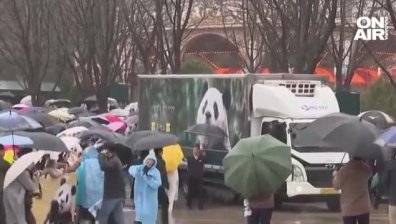 Известна панда замина за Китай и разплака множество южнокорейци