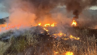 Треви и храсти са потенциални факли: България е в червено заради риск от пожари