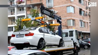 Нов инцидент с "паяк" в Пловдив, прекърши дърво на две
