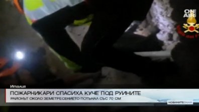 Пожарникари спасиха куче изпод отломките в Норча