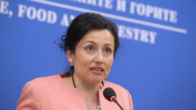 Танева: ЕК непрекъснато ни проверява, докладваме всичко