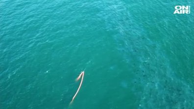 Започва източване на мазута от потъналия край Созопол кораб