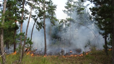 Мълния предизвика пожар в Пирин, теренът е труднодостъпен