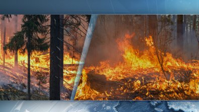 Голям пожар бушува в гората край язовир Брягово