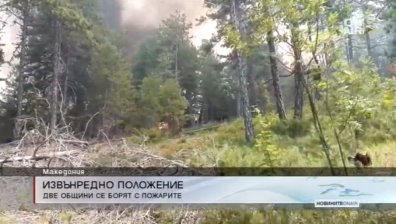 Пожари и в Македония: Две общини обявиха извънредно положение