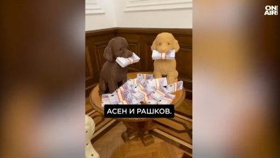 Пеевски откри нова експозиция в "Музея на Сглобката" (+ВИДЕО)