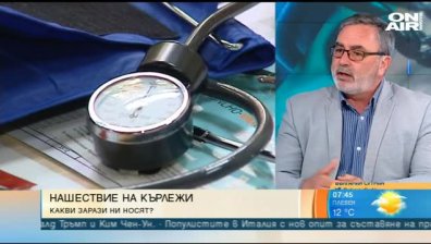 Нашествие на кърлежи в страната - как да се пазим?