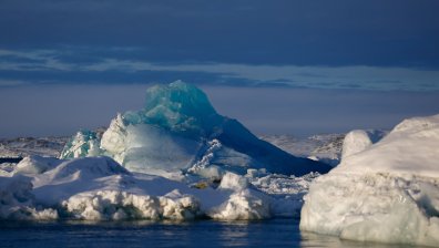Човечеството не е готово за вирусите, които ни дебнат в ледовете