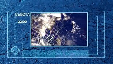 Къде и как се обучават полицейските кучета?