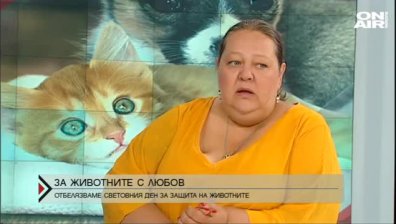 Oтбелязваме Световния ден за защита на животните