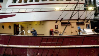 Гниеща риба, фалиращ бизнес и куп бюрокрация - последиците от Brexit за Острова