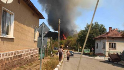 Пожар гори до къщите на жители във Видинско село