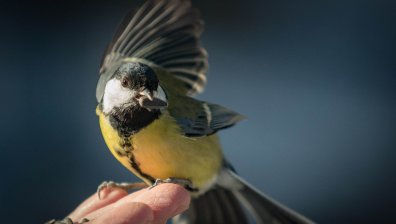 Топло време, но на места ще превали и прегърми