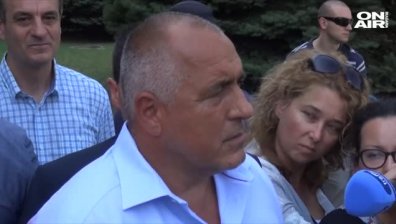 Общините по морето са съучаствали за шума, заяви ВАП