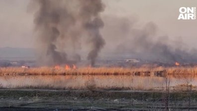 Голям пожар в защитена местност в Бургас, живеят много водолюбиви птици