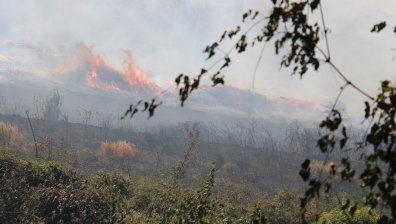 Дъждът спря пожара от Гърция да не влезе изцяло в България