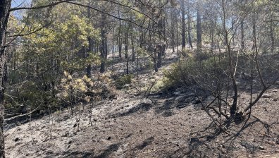 Овладяха пожара над Струмяни, няма опасност за населените места