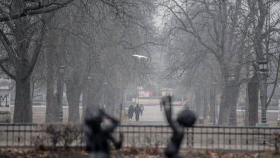 Времето днес: Мъглив и мразовит край на седмицата