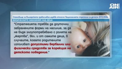 От "Асоциация Анимус" не разбират защо църквата критикува стратегията за детето