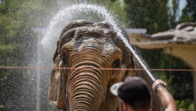 Дългоочаквано разхлаждане в понеделник, следобед очакваме дъжд