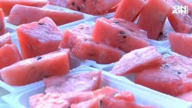 Стотици се събраха за празника на динята във великотърновското село Никюп