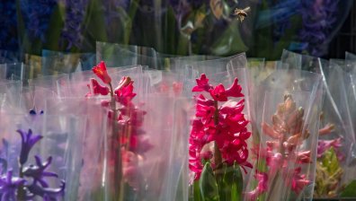 8 март е! Честит празник на всички дами